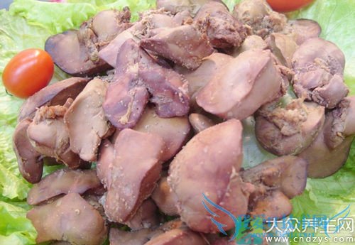 Ƥ�������ܳԼ�����  