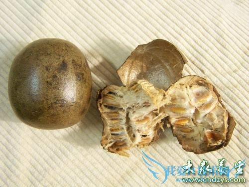 �����ܺ��޺�����