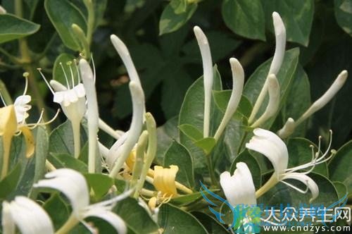 �����ڿ��ԺȽ�����