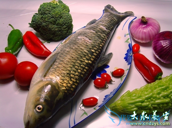 ���ˡ����ߡ�����ʳ��ô����(2)