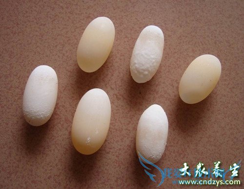 �и����Գ��ڹ군��