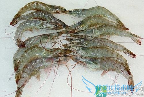 �������ܳԺ�Ϻ��