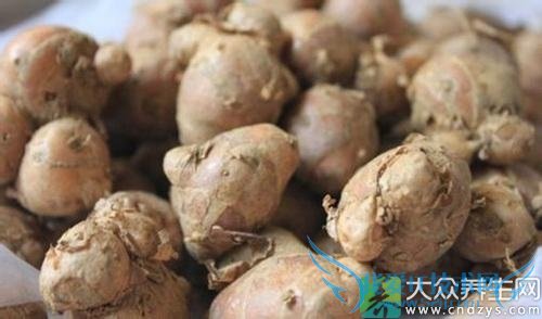 �����ܳ�ɳ����