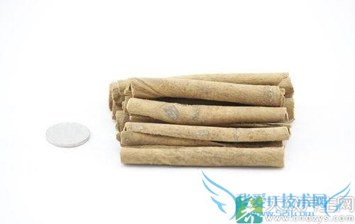 �����ܳԹ�Ƥ��