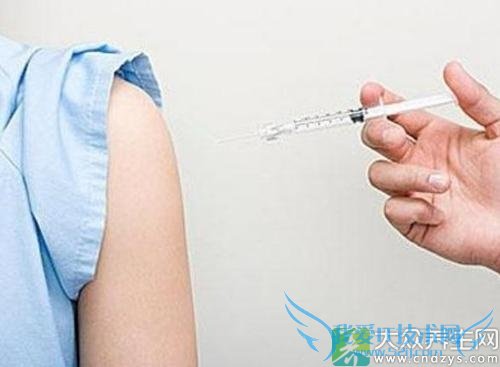 ��ð�ܴ�����������