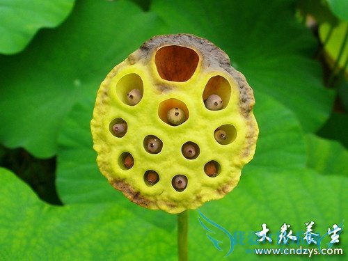 �и��ܳ�������