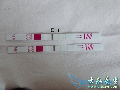 ������ֽ׼ȷ��