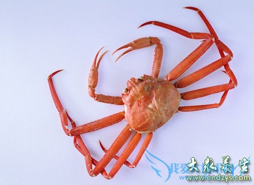 ��Ѫѹ�ܳԺ�з��