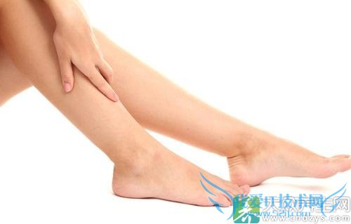 ��֫�������ŵ����Ʒ���