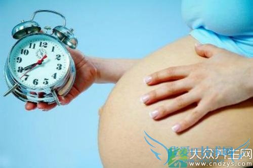 ʲôʳ���������