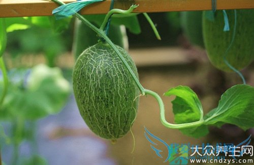 ��Ѫѹ�ܳ������