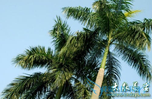 �и��ܳ��������