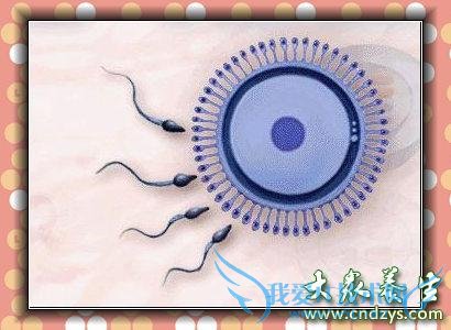 ����֢��Ϸ���������֢��������ʮ�ֶ��(2)