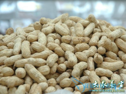 �������������ܳ�ʲô