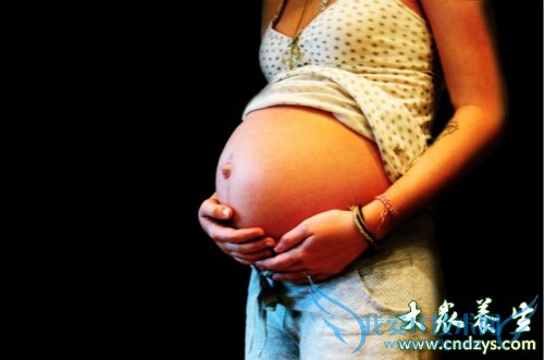 ����̥����