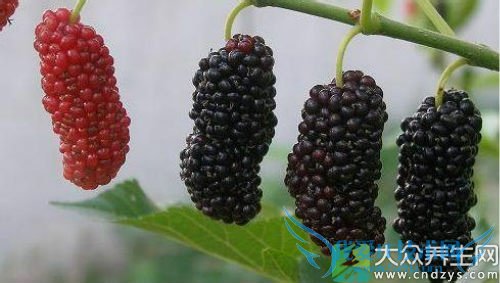 �����ܳ�ɣ����