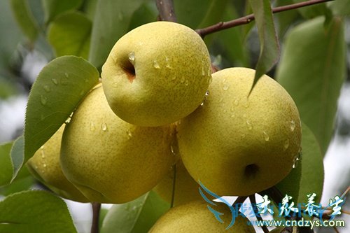 10�֡����⡱ʳ�﻽�Ѻɶ���(4)