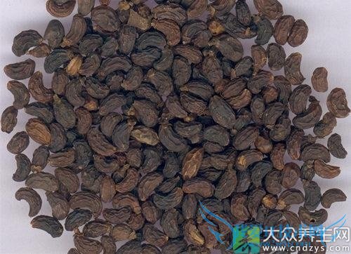 �����ܳ�Ů������