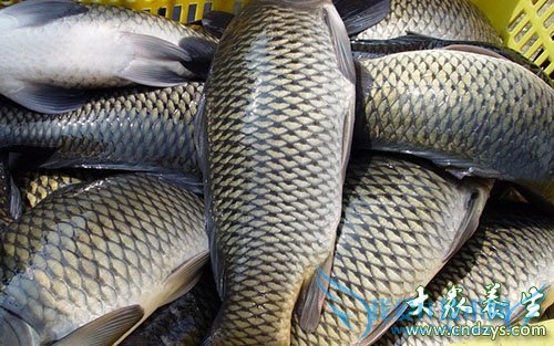 10�ֿ������ΰ�硱��ʳƷ(9)