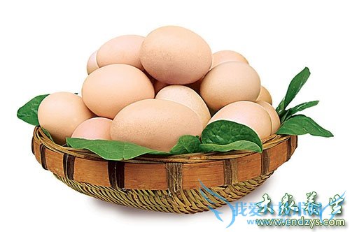 10�ֿ������ΰ�硱��ʳƷ(7)