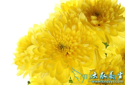 �����������ɫŮ��  (3)