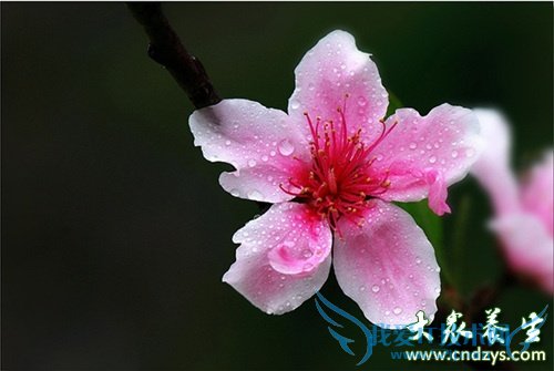 �����������ɫŮ��  (4)