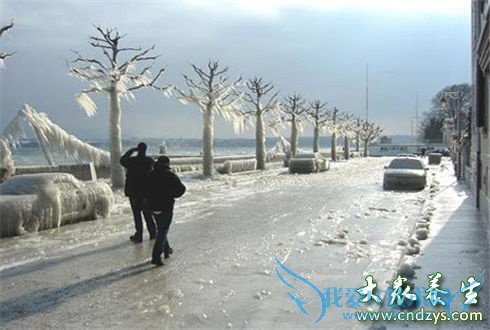  ������������İ˴�����(1)