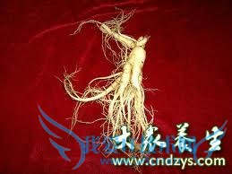 ���������ȷ��ʳ��������,15���и����Ƽ�ʳ��(2)