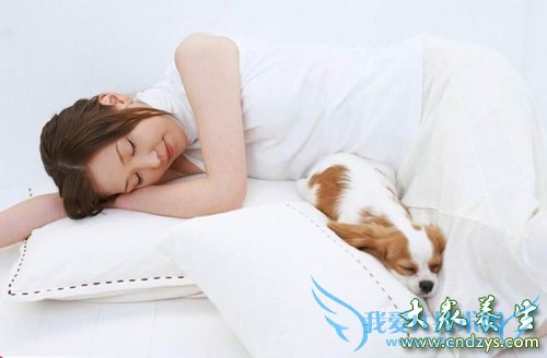 ������Ϥ��İ���ˡ� �����¾���֪������?(5)