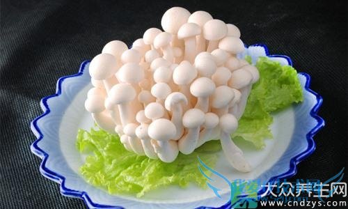 �и��ܳ԰�����