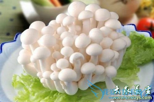 �и��ܳ�ճ�׷���