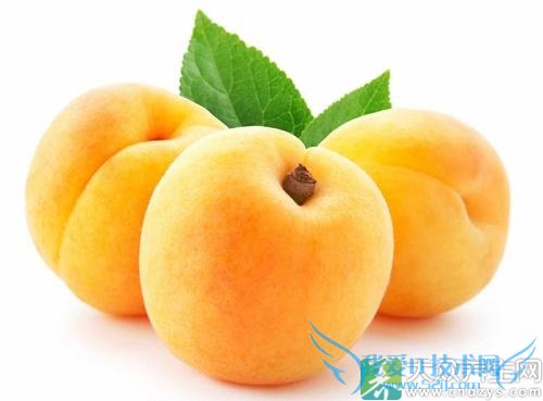 �����ܳԻ�����