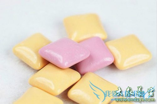 ����̥�����̵�10��ʳ��(2)