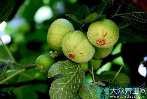 С�����Գ��޻�����