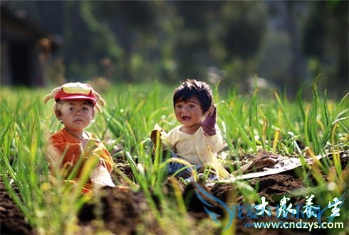 �������ڲ����н��� �����ɵ����ơ������(1)