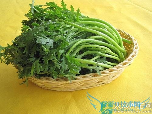 ��Ѫѹ�ܳ�������