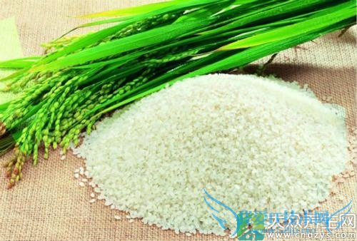 �и��ܳԾ�����