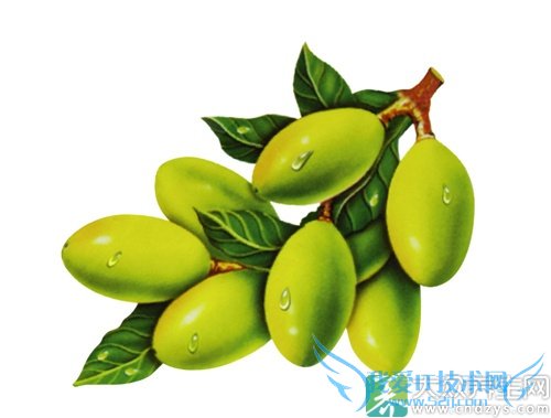 �����ܳ������