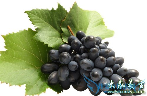 �����ܳ������� 