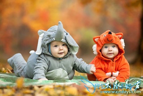 ���챦����ʳ��ô�죿������������ʳ����(8)