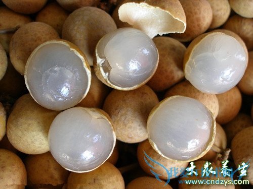 Ů���ļ�����Ѫ��4��ʳ��(3)