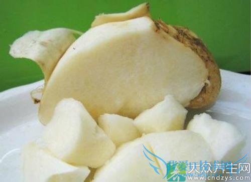 �����ܳԶ�����