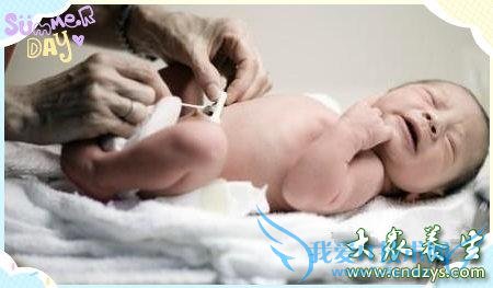 �������껤����Ƶ�Σ������������Ҫע�������(2)