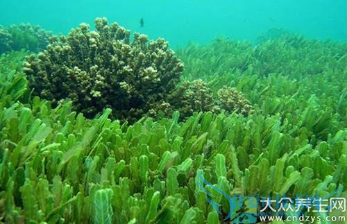 �����������׳������(3)