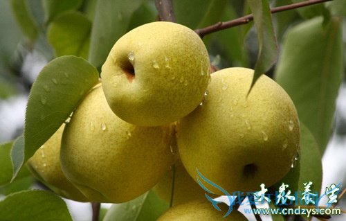 ����������ô�� ��������Ҫע��8����ʳ����(8)