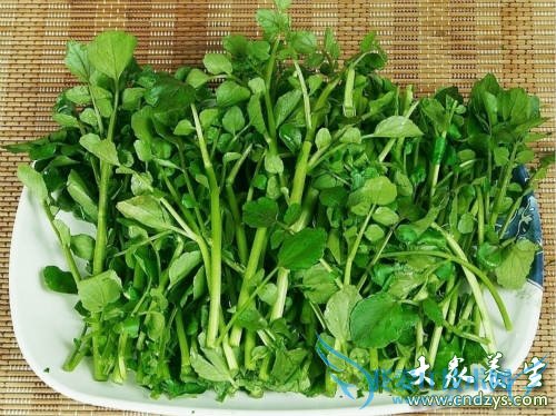 ���п��Գ��������