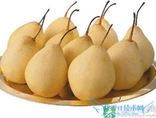 �����ܳ�ѩ������