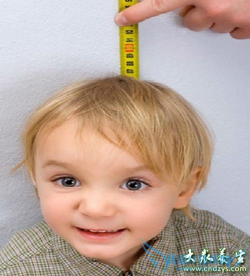 Ӥ���������߱�׼