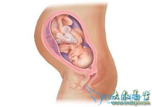 ����33��