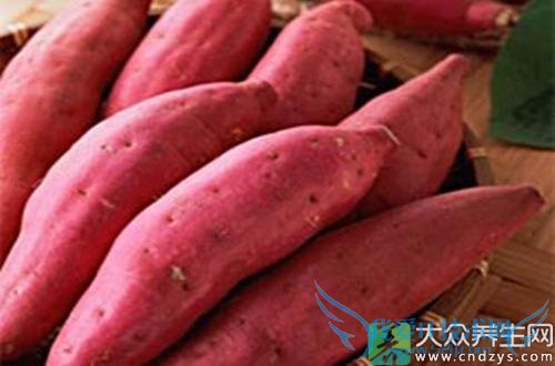 ʮһ����ʳ�̲��ѳ��ٽ�����(15)